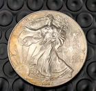 1996 SILVER EAGLE - 1oz .999 Pure - LOOKS GOOD BUT DON'T WAKE UP WITH THIS ONE!!