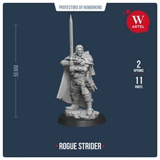 Rogue Strider Artel W Fellowship Lord of the Rings Aragorn Middle Earth 1x