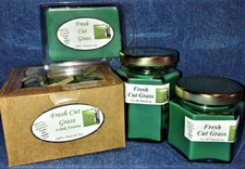 NEW Hand Poured Spring Scents Soy Candles Tarts Votives - Fresh Cut Grass