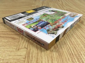 Mahou Kishi Rayearth SEGA SATURN Japan - FJ8713