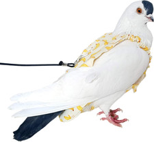 Pigeon Diaper with Leash for Pigeons over 5 Months Old