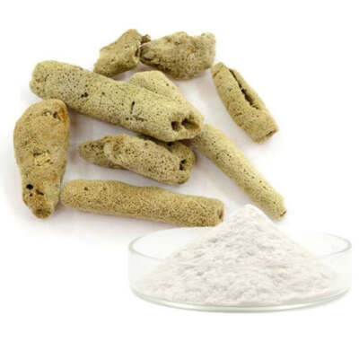 Sponge Microneedles Hydrolyzed Sponge Spicule Powder 99%
