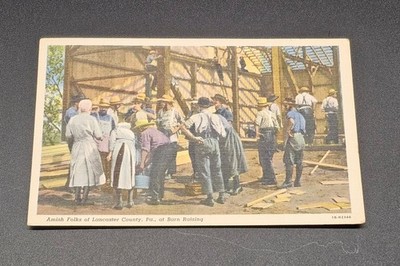 AMISH FOLKS BARN RAISING POSTCARD!!