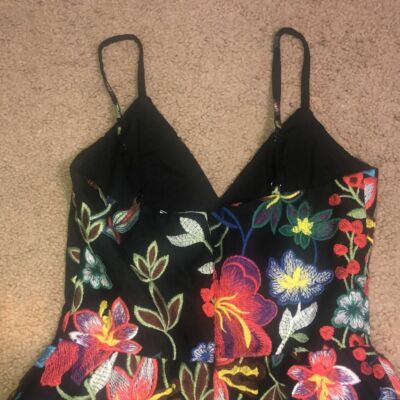 Dress the Population Maren Embroidered Floral Sleeveless Fit & Flare Dress  XXS | eBay