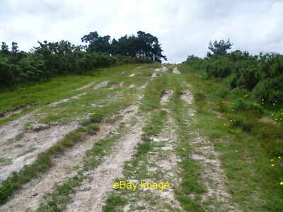 Foto 6x4 Der Wealdway nähert sich Camp Hill Ashdown Forest ist ein ehemaliges Ich c2012