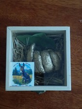 مقتنيات Lucky donkey
