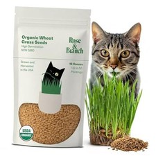 Rose Branch Organic Wheat Grass Seeds for Indoor Cats - Cat Grass Seeds 16Oz