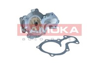 Wasserpumpe KüHlmittelpumpe FüR Ford Ecosport Fiesta VII 1.1 1.0 Ecoboost