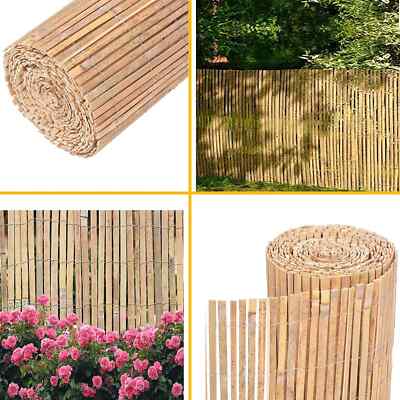 bambus dicker stamm Ficus Benghalensis 120-140 cm dicker Stamm Indische Banyanbaum-Pflanze   Blumen-Senf