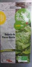 La Belle Potagère Batavia de Pierre-Bénite, variété ancienne, bio