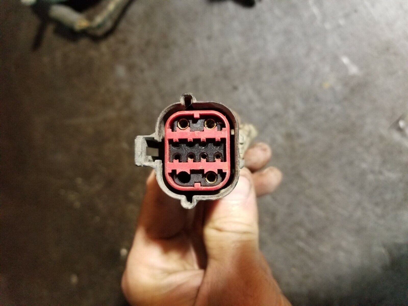 Picture 2