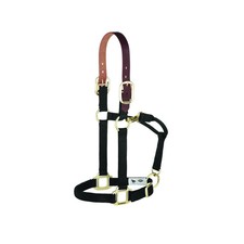 Weaver Leather Breakaway Nylon Halter   Replaceable Crown