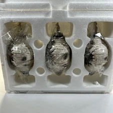 The Bradford Editions Spirits of the Forest Wolf 3 Ornament Set