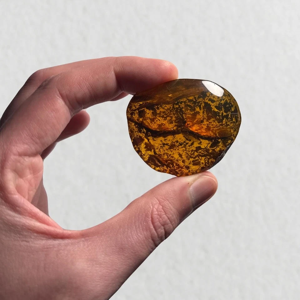 SPIDER in Burmese / Burmite amber fossil / 100% genuine amber  - Image 3 of 4