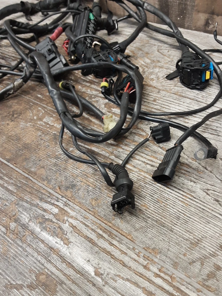 Ducati Monster S2R 800 2007 05-08 cableado eléctrico principal arnés telar Foto 2 de 4