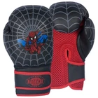 Badboxe Pair Of kids boxing gloves 6oz