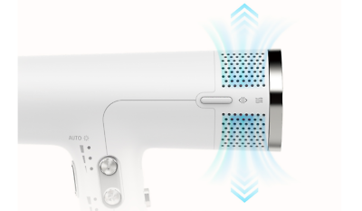 Tescom BLDC Negative Ion Hair Dryer | eBay