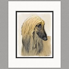 Afghan Hound Dog Red Cream Original Art Print 8x10 Matted to 11x14