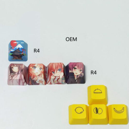 Mechanical Keyboard Snow Mountain Fuji 9 Keycaps Keys PBT OEM R4 Arrow Keys - Picture 1 of 4