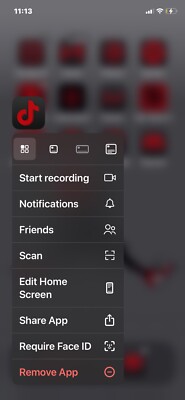 iphone with tiktok