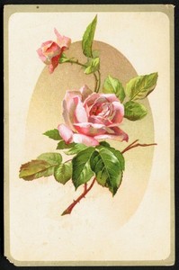 LION COFFEE Victorian Trade Card - Woolson Spice - two pink roses