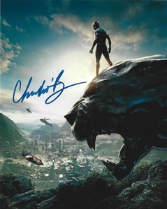 CHADWICK BOSEMAN (+2020) - Actor - Black Panther / Avengers - Autograph Photo
