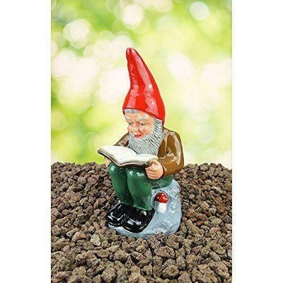 Heissner Wilhelm Sammler-Zwerg Original Gartenzwerg Edition 2017 Gartenzwerg