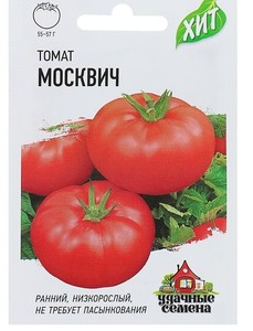 Томат москвич фото