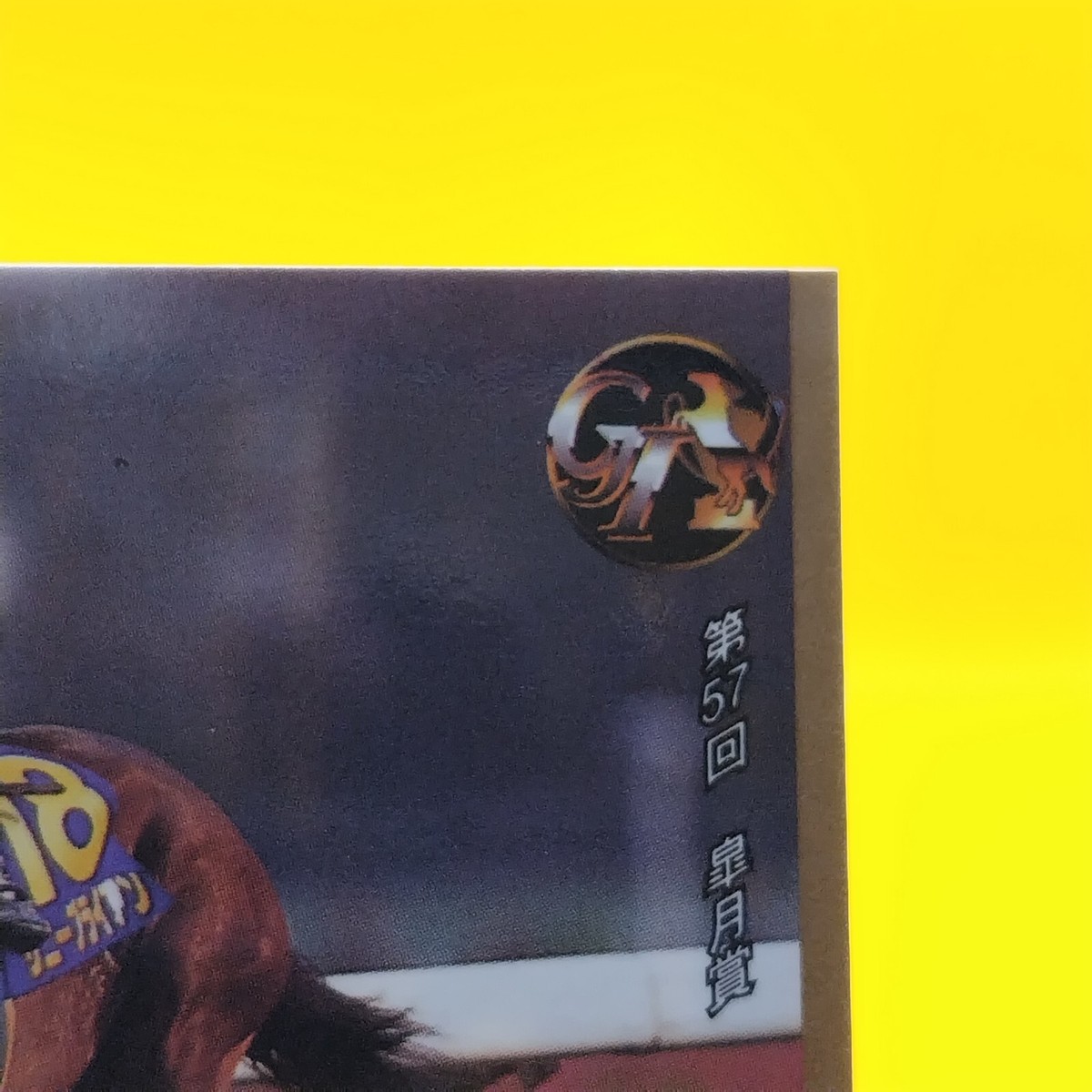 Sunny Brian / Thoroughbred Horse Racing Card Vintage TCG BANDAI