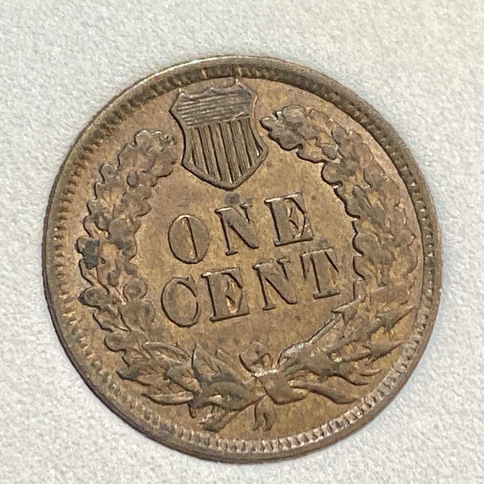 Picture 4 of 4