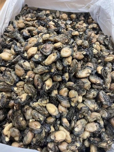 500 g ostras secas Fujian ostras marinas secas 500 g - Imagen 2 de 4