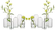 Glass Bud Vases Flowers Blown Modern Small Glass Vases Centerpieces Set of 12