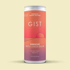 Gist Lemon Balm Herbal Seltzer ( 2 cans )