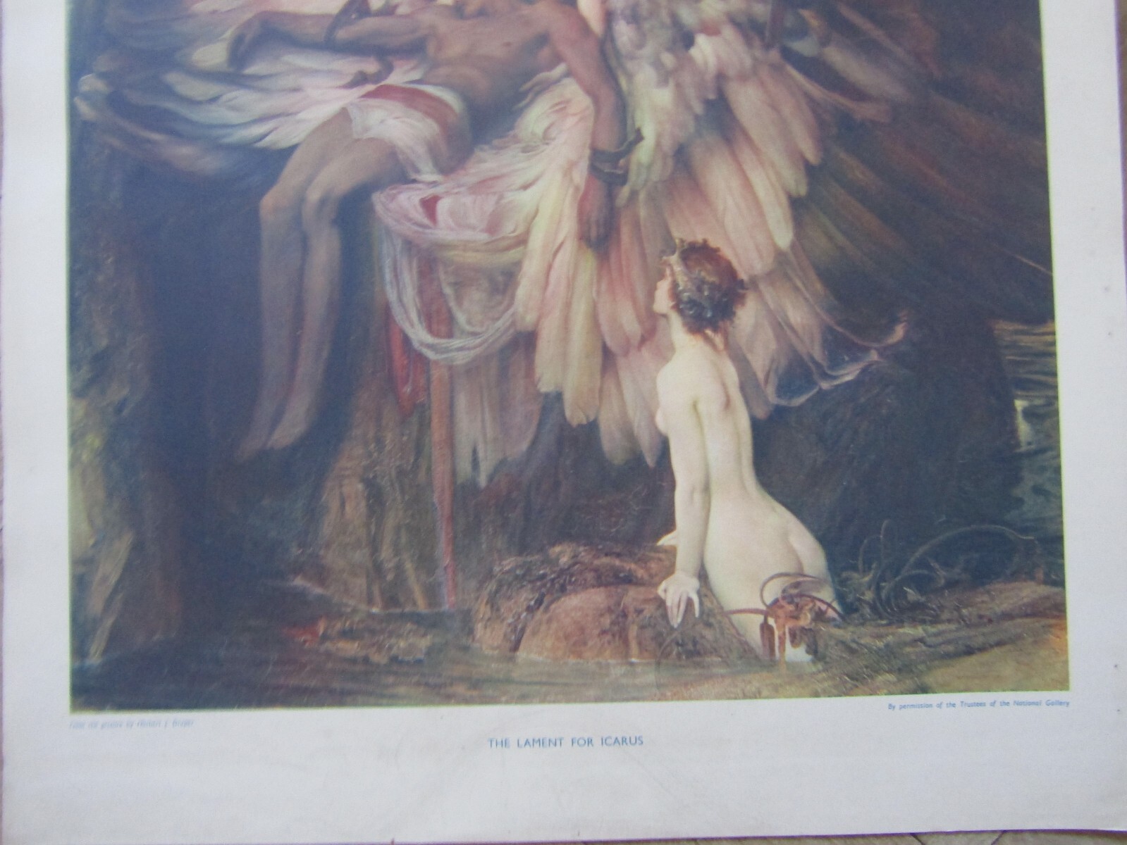Picture 4