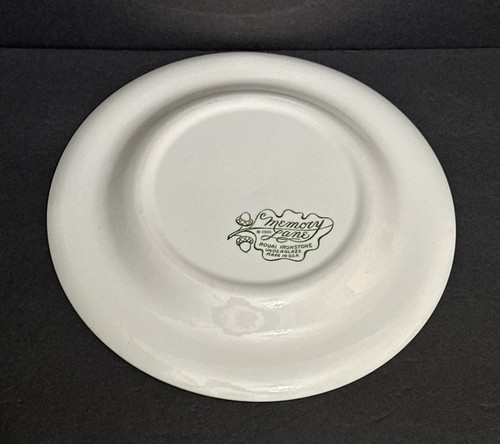 Royal China Ironstone 1965 Memory Lane 10" Dinner Plate MADE IN THE USA - Picture 14 of 16