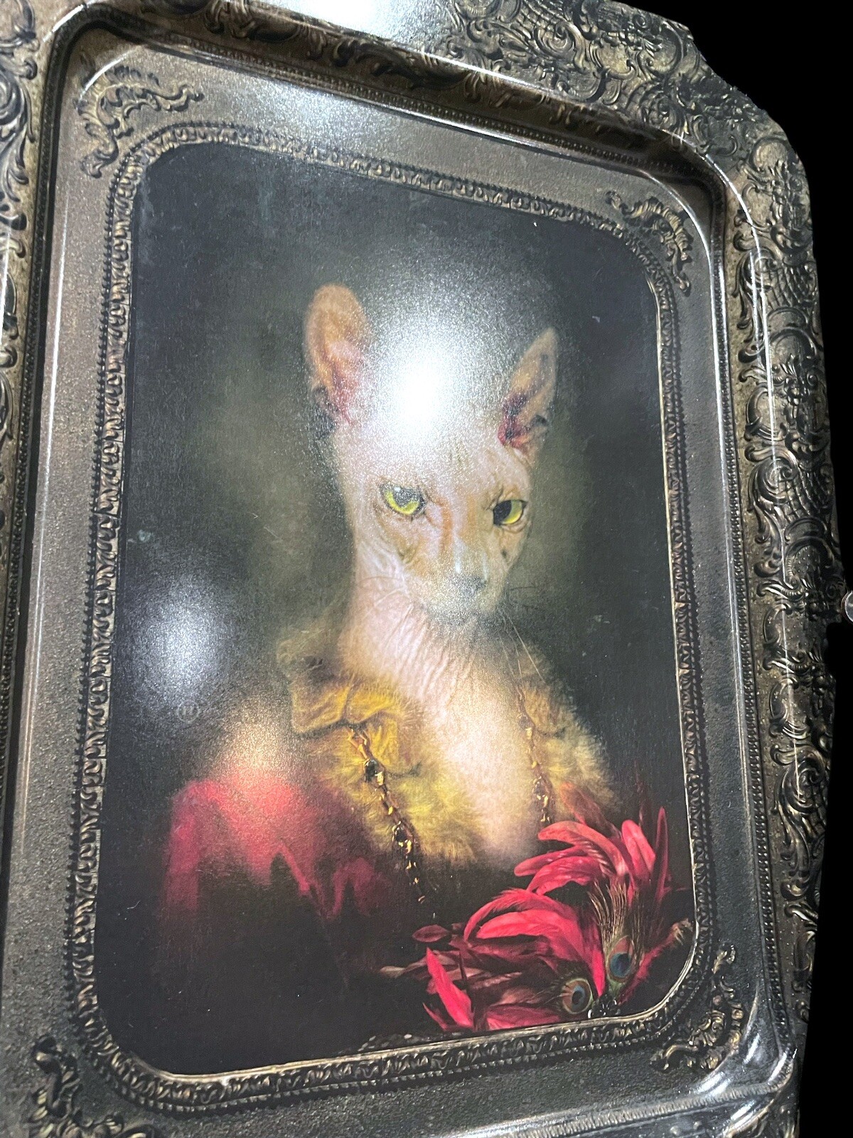 Picture 2 of 15