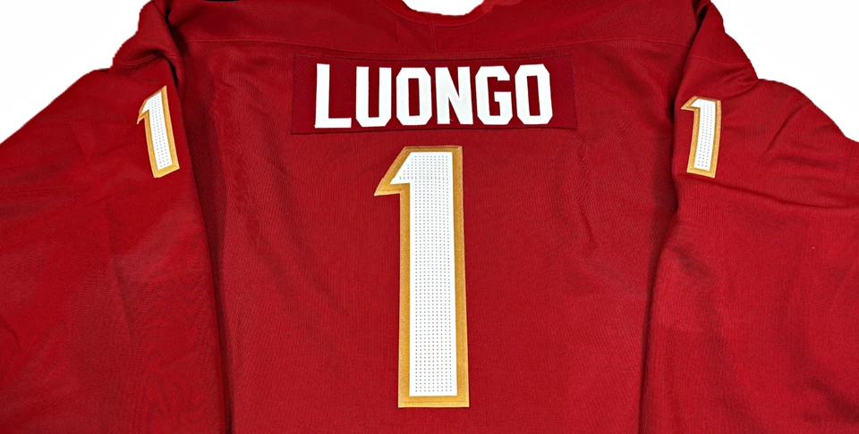 PRO-52-54-56 * CAMISETA DE HOCKEY AUTÉNTICA CCM/MASKA ROBERTO LUONGO FLORIDA PANTHERS Foto 4 de 4