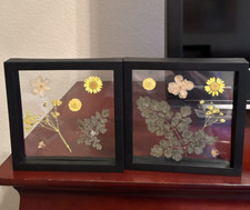 Square Glass Framed Yellow Dried Flowers - Set of 2 - 6 1/4 inch size