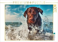Calvendo Puzzle Soul Dog, Gives Love That You Can See | 1000 Pieces, Finished Si