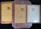 (3) 1860's Civil War Discharge Documents