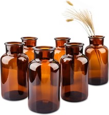 Set of 6 ber Bud Vases, Small Glass Vases, Vinta Medicine