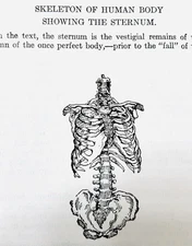 🌟 RARE Early New Age THINKING AND DESTINY Symbols Charts Leath. Harold Percival