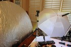 MOBLE PHOTO STUDIO, PERFECT FOR MODEL PORTFOLIOS, PETS, WILD LIFE, MORE!! — photo 9