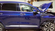 2019-2023 Hyundai Santa Fe RH Passenger Front Door Assy Stormy Sea-ST2 Nice 18K!