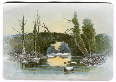 Oblaten scrap die cut chromo Karte Bild Landschaft Winter Brücke 17,2 cm