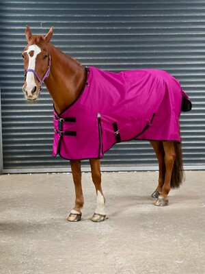 Turner Equestrian 600D leichte wasserdichte Pferdeweidedecke 100g Füllung