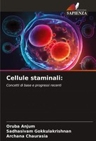 Cellule Staminali: Concetti Di Base E Progressi Recenti Oruba Anjum (U. A.) Buch