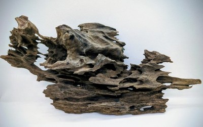 Dragon Wood Aquarium Scaping Nano Spiderwood Aquascape Drachenholz Deko Ohko