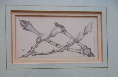 Knospende Kätzchenzweige Oliver Holt RMS Original Miniatur Botanische Studie