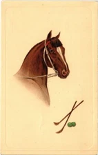 PC HORSE FANTASY HUMOR GOLF SPORT (a32987)